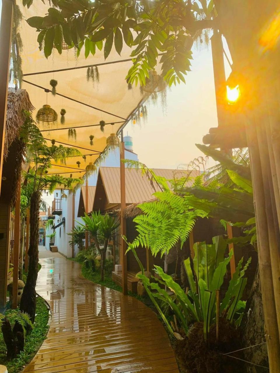 La Garden Homestay Long Xuyên Exteriér fotografie