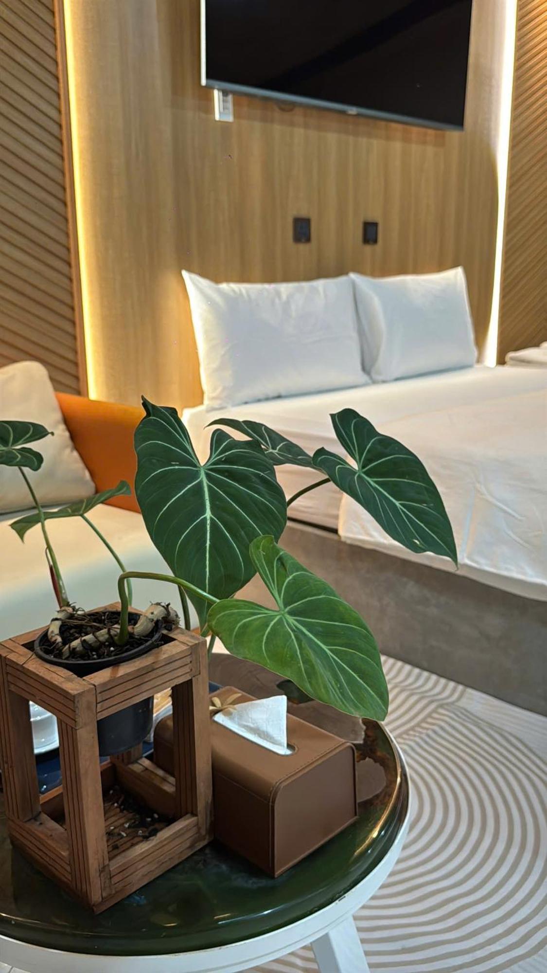 La Garden Homestay Long Xuyên Exteriér fotografie