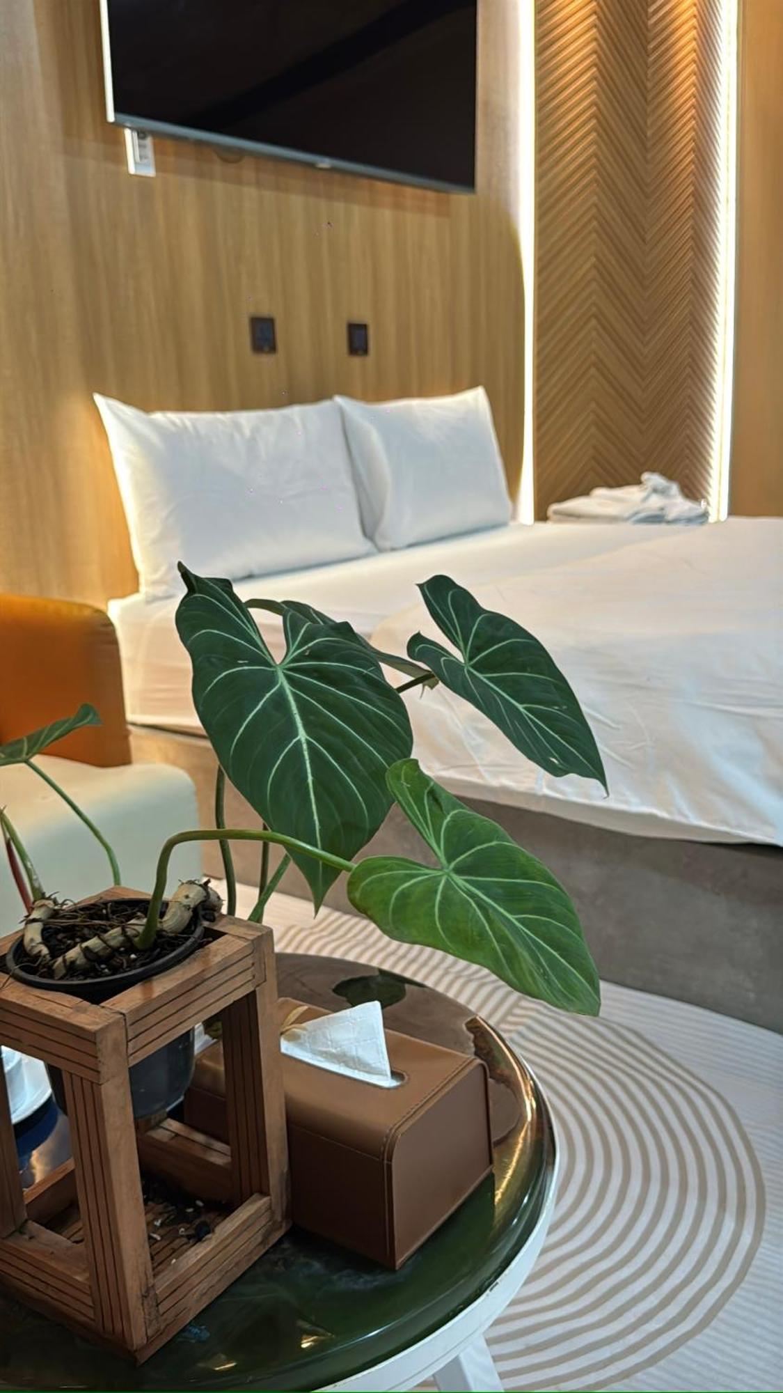 La Garden Homestay Long Xuyên Exteriér fotografie
